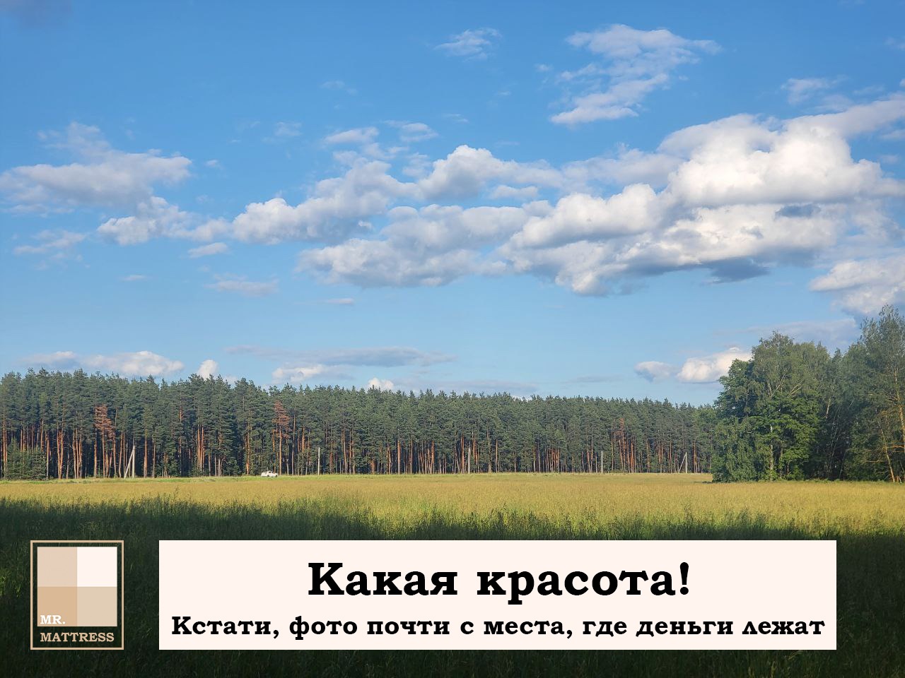 Подсказвка 1