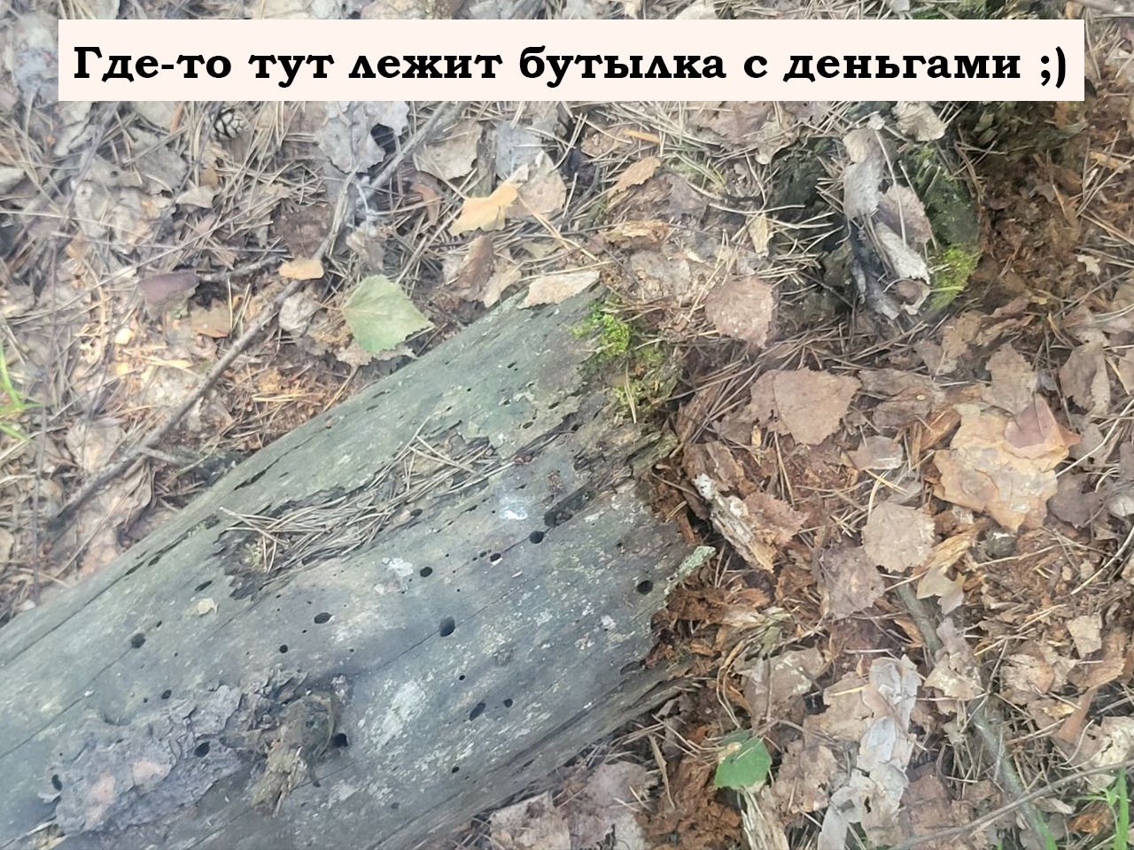 Подсказвка 2