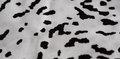 Простыня Absolute с утяжкой на резинке