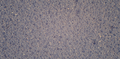 Матрас Kinlet L