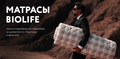 Матрас ProLive